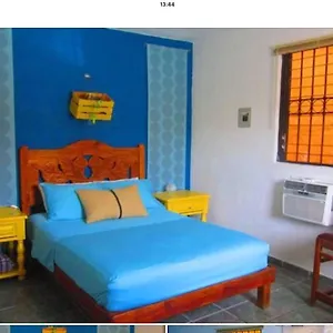  Apartamento Casa De Hojas